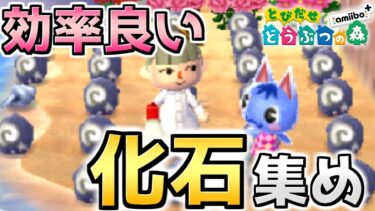 あっと言う間に化石１００個！？採掘場を作って効率よく化石集め【とびだせどうぶつの森】