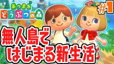 新要素を遊び尽くそう!!無人島で新生活が始まる!!気ままに実況Part1【あつまれどうぶつの森】