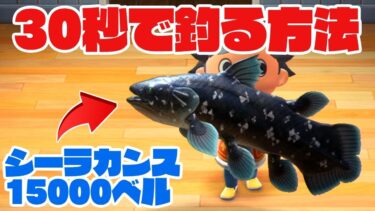 【あつ森】高級魚シーラカンスを最速30秒で誰でも簡単に乱獲しまくれる方法お教えします！【あつまれどうぶつの森】