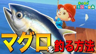 【あつ森】初心者向け！桟橋限定の「マグロ」を釣る方法 ～Tuna～【あつまれ どうぶつの森】