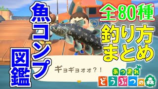 【あつ森】魚全80種の出現時期・場所・釣り方解説まとめ(月別)