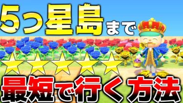 【あつ森】本当は教えたくない知っているだけで差がつく”5つ星島まで最短で行く方法!! 初心者必見!!【あつまれどうぶつの森:攻略】