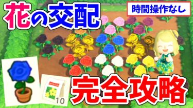 【あつ森】花の交配を徹底解説！全種類の交配表や青バラの作り方、効率の良い植え方・増やし方、入手方法などまとめ【あつまれどうぶつの森 攻略】