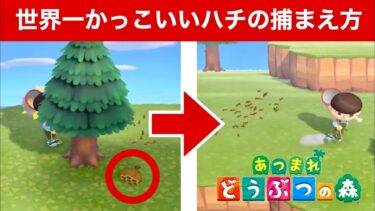 【あつ森】世界一かっこいいハチの捕まえ方【あつまれどうぶつの森】 FUNNIEST MOMENTS of Animal Crossing: New Horizons #1