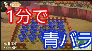 【あつまれどうぶつの森】青バラを1分で作る方法！