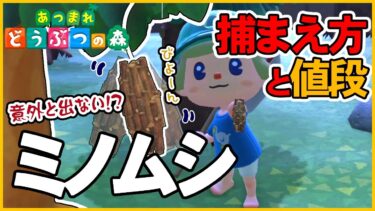 【あつ森】ミノムシの出現時間と場所・捕まえ方・値段・解説・飾る【あつまれどうぶつの森AnimalCrossing】釣り方捕まえ方