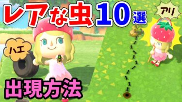 【あつ森】レアな虫10選！ハエやアリ、オケラなど特殊な出現条件の虫とその捕まえ方、値段を紹介！目指せ博物館と図鑑コンプ！【あつまれどうぶつの森 攻略】