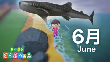 【あつ森】6月の虫と魚すべて捕まえてみた。 Bugs to Get and Fish to Get in June.【Animal Crossing: New Horizons】