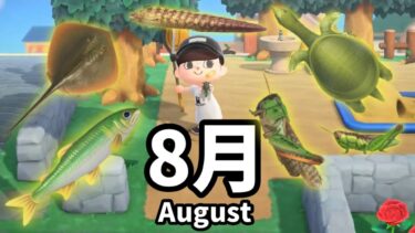 【あつ森】8月の虫と魚すべて捕まえてみた。 Bugs to Get and Fish to Get in August.【Animal Crossing: New Horizons】[Eng Sub]