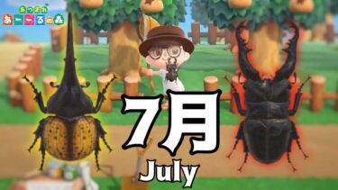 【あつ森】7月の虫と魚すべて捕まえてみた。 Bugs to Get and Fish to Get in July.【Animal Crossing: New Horizons】[Eng Sub]