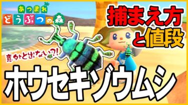 【あつ森】ホウセキゾウムシの出現時間と場所・捕まえ方・値段・解説・飾る【あつまれどうぶつの森AnimalCrossing】釣り方捕まえ方