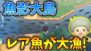 【あつ森】限定島でお金稼ぎとレア魚乱獲！今だからこそ魚影大島が熱い!!!!【あつまれ どうぶつの森】【ぽんすけ】