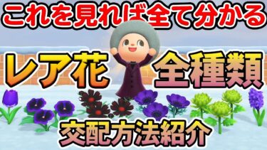 【あつ森】青バラだけじゃない！レア花6種の交配方法をまとめて紹介!!【あつまれ どうぶつの森】【ぽんすけ】