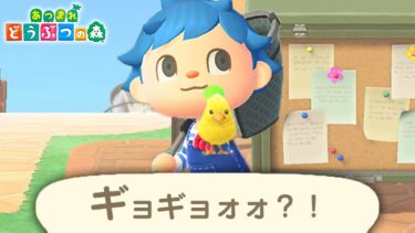 全方向から掲示板の鳥を囲んだら流石に捕まえられる説【あつ森】【あつまれどうぶつの森検証】