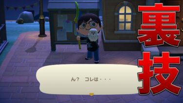 掲示板のフクロウを捕まえる方法【あつ森/裏技検証】