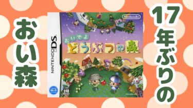 【おいでよどうぶつの森】17年ぶりにDS版おい森で遊んだら色々と想像以上だった