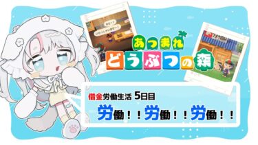 【#おかえり配信】孤島で始まる借金生活 #5【#あつまれどうぶつの森】