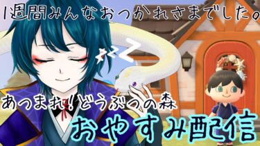 【あつまれ！どうぶつの森】まったり島でおやすみ雑談配信【鵺主(やぬし)VTuber準備中】