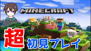 【#minecraft 】超　初見のマイクラ 　＃参加型  ＃ライブ配信