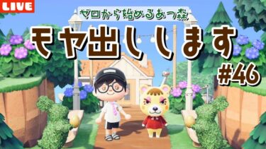 【あつ森】離島ガチャのためにモヤ出し作業！マイデザを使わないサブ島クリエイト！【あつまれ どうぶつの森】