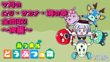 【#あつまれどうぶつの森 】久しぶり配信！新しい生き物に出会うぞ～　7/1