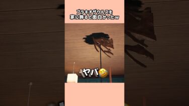 【あつ森】小ネタあるある？ブラキオザウルスを家に飾ると面白かったw【あつまれどうぶつの森】#shorts #あつ森