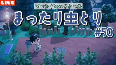 【あつ森】眠れない方おいで！ギラファノコギリクワガタゲットしたい！【あつまれ どうぶつの森】