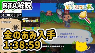 【RTA解説】おいでよ どうぶつの森 金のあみ入手 1時間38分59秒