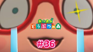 【あつまれどうぶつの森】#36 カブ…頼む…信じられんくらい爆伸びしてくれ！！