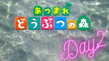 【あつまれどうぶつの森】配信時間12時間の壁 【新人Vtuber】