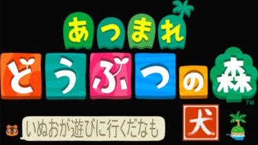 24.08.27　【あつまれどうぶつの森】いぬおの訪問配信 初見歓迎