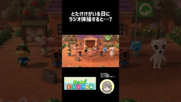 【あつ森】とたけけがいる日にラジオ体操すると…！ #あつまれどうぶつの森 #shorts #animalcrossing #ゲーム実況 #女性実況 #ラジオ体操 #gaming