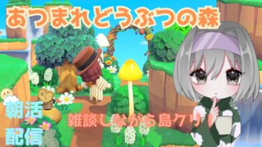 あつまれどうぶつの森　花火大会inにし島　配信