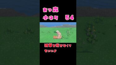 【あつ森】知ってた？　あつ森小ネタ集⑤④　島クリエイトがちょっとだけ早くなる小ネタ