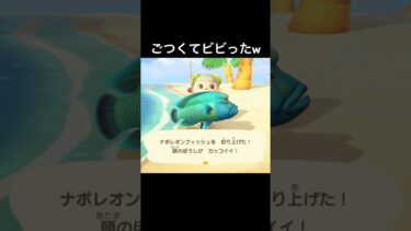 釣り竿もビビって壊れてしまったw#あつまれどうぶつの森 #あつもり #ゲーム配信 #shorts