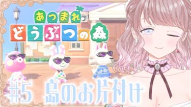 【あつまれどうぶつの森】理想の島を作るあつ森配信/#5 お話しながらお片付け【さやひめのお城】