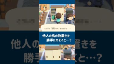 【あつ森】他人の島の物置きを勝手に開けると…？【小ネタ】