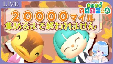 【あつ森】20000マイル集めるまで終われません！【買い物禁止縛り】