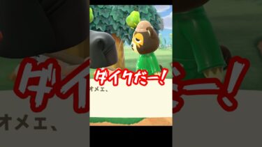 【離島ガチャリレー】58島目【あつまれどうぶつの森】 #Shorts