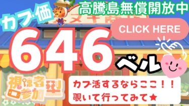 カブ価646ベル 島開放中！ あつまれどうぶつの森【視聴者参加型】