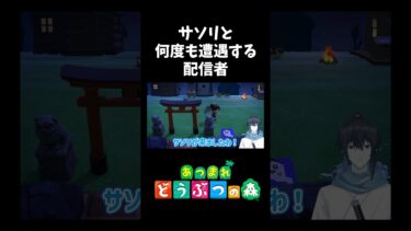 【あつ森】サソリと何度も遭遇する配信者 #shorts 【あつまれどうぶつの森】【Vtuber】