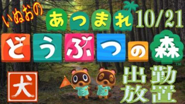 24.10.21 【あつまれどうぶつの森】いぬお出勤中放置配信 初見歓迎