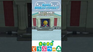 雪の日の博物館の小ネタ #ゲーム  #どうぶつの森  #小ネタ