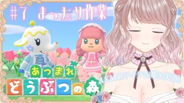 【あつまれどうぶつの森】理想の島を作るあつ森配信/#7 ASMRマイクでまったり作業【さやひめのお城】