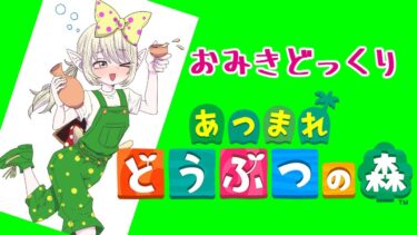 【あつまれどうぶつの森】たぶんエンディングが見れちゃうから配信します！でもちょっとの時間しかできないかもめ