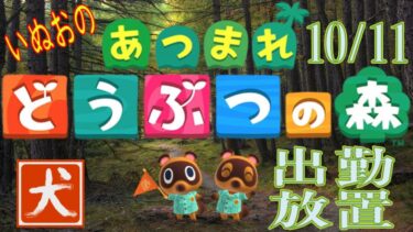 24.10.11 【あつまれどうぶつの森】いぬお出勤中放置配信 初見歓迎