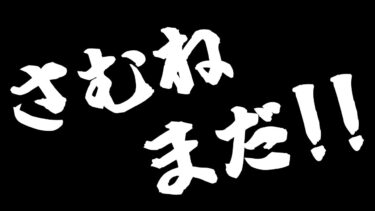 【あつまれどうぶつの森／コラボ配信】のんびり釣り大会【如月ハイト／ゆらまよい】