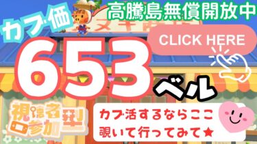 カブ価653ベル 島開放中！ あつまれどうぶつの森【視聴者参加型】