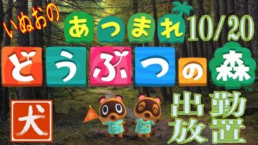 24.10.20 【あつまれどうぶつの森】いぬお出勤中放置配信 初見歓迎