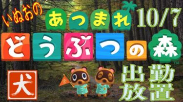 24.10.07 【あつまれどうぶつの森】いぬお出勤中放置配信 初見歓迎